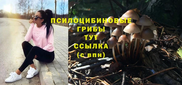 PSILOCYBIN Володарск