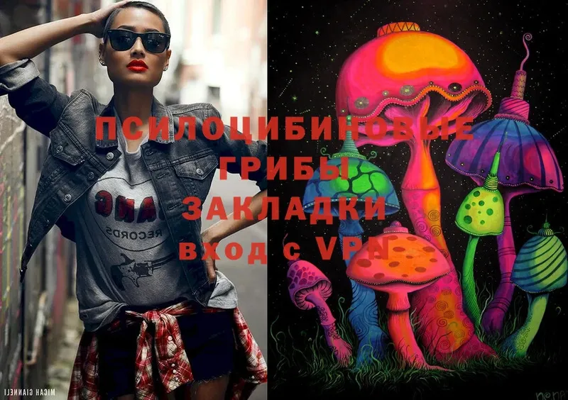 blacksprut ССЫЛКА  Кимры  Псилоцибиновые грибы Magic Shrooms 